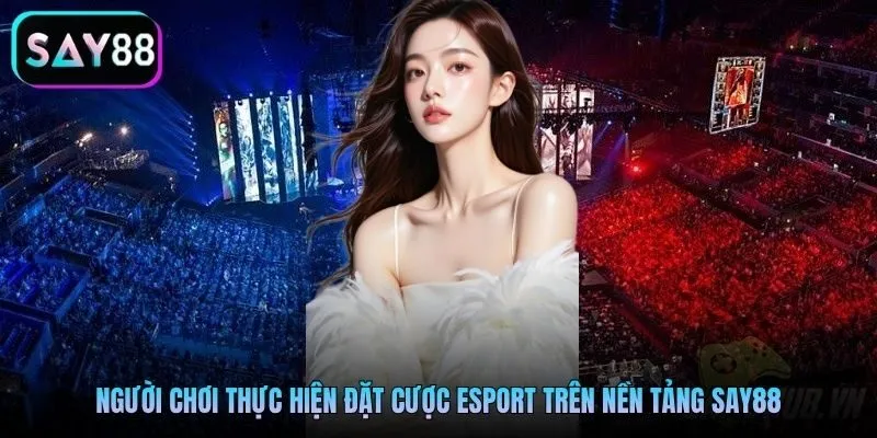 Người chơi thực hiện đặt cược Esport trên nền tảng Say88 Người chơi thực hiện đặt cược Esport trên nền tảng Say88
